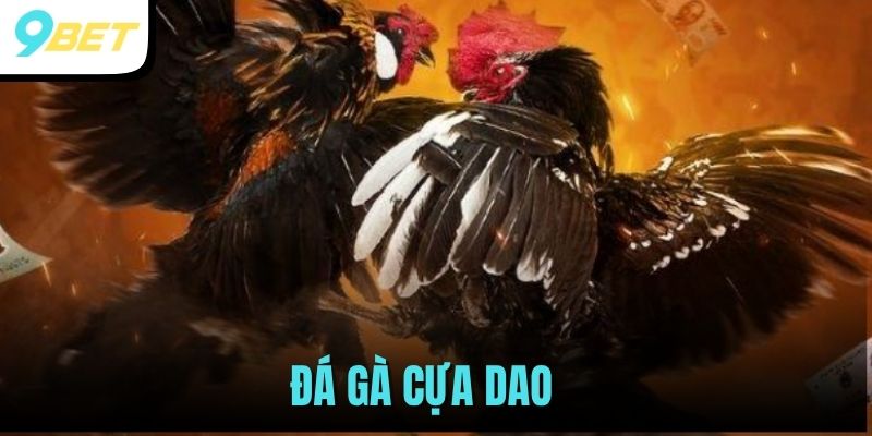đá gà cựa dao