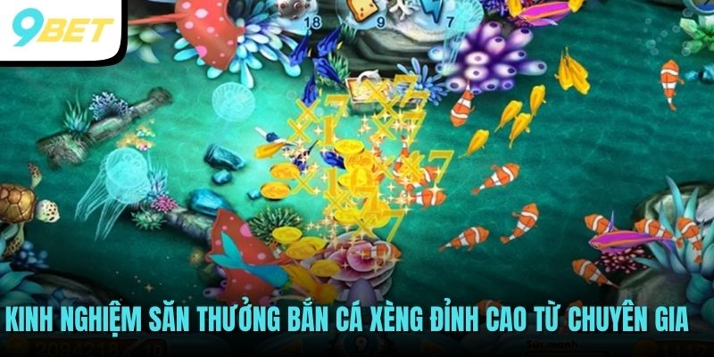 Kinh nghiệm săn thưởng bắn cá xèng đỉnh cao từ chuyên gia