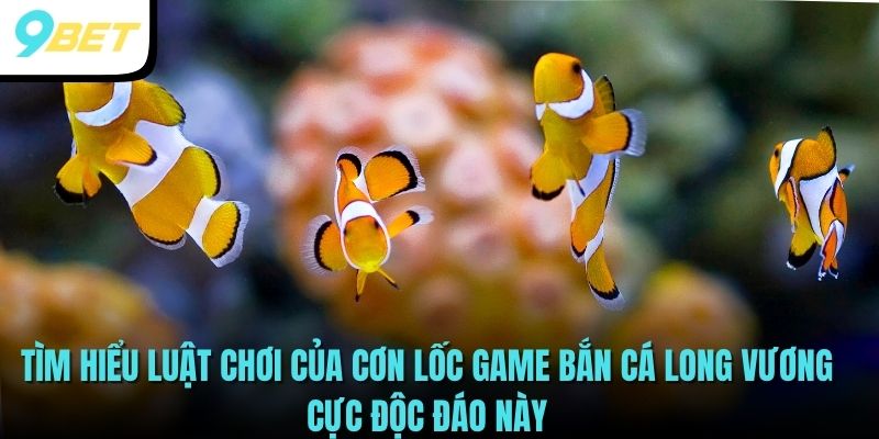Bắn Cá Long Vương - Hướng Dẫn Câu Cá Lấy May, Đổi Tiền Liền Tay 3 Tìm hiểu luật chơi của cơn lốc game Bắn Cá Long Vương cực độc đáo này