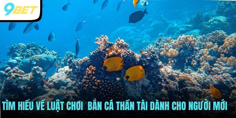 Tìm hiểu về luật chơi  Bắn cá thần tài dành cho người mới